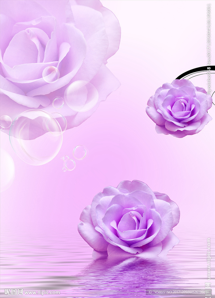 水中玫瑰花浪漫玄关过道