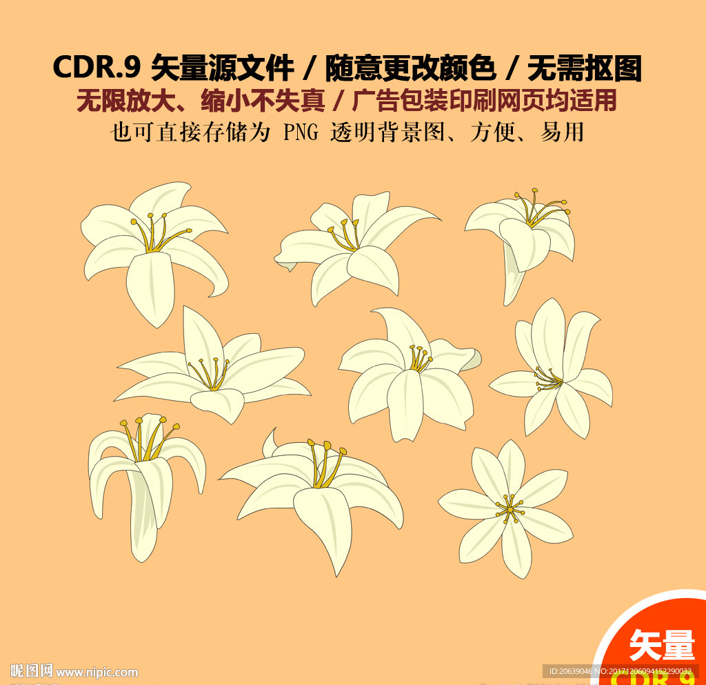 cdr(cdr9)颜色:rgb元(cny)举报收藏立即下载×关 键 词:手绘花朵百合