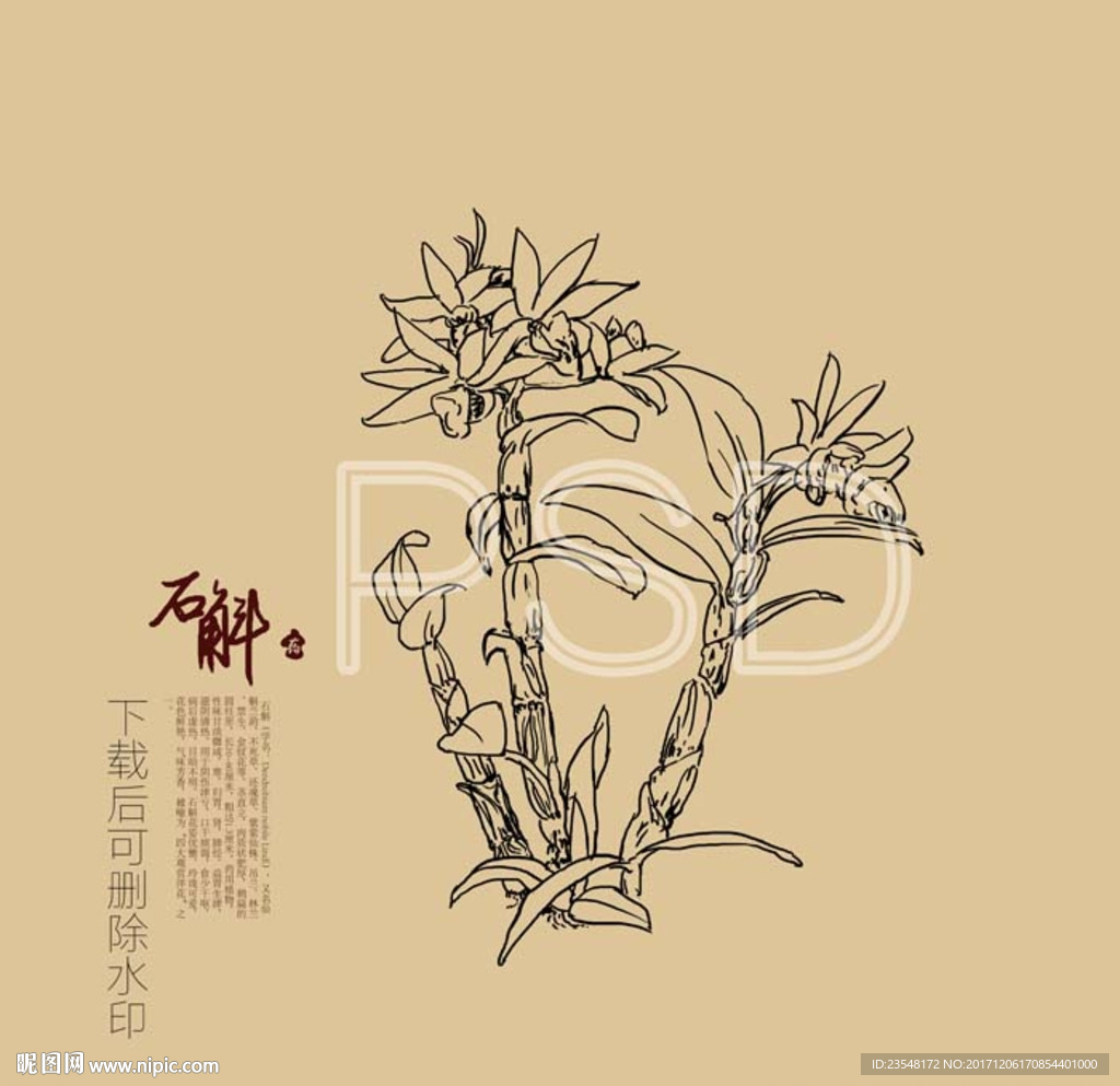 铁皮石斛