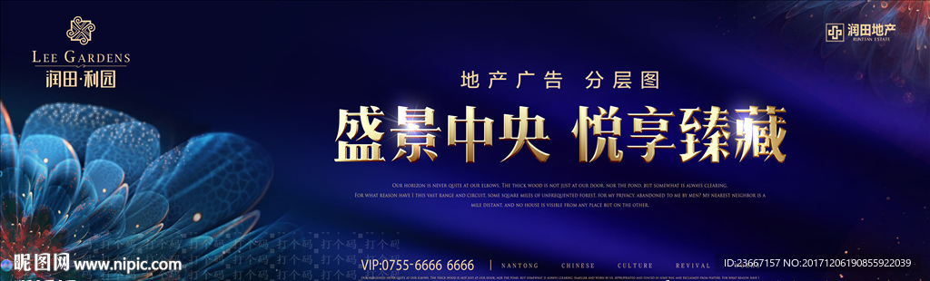 花 绚丽 绚丽花 灿烂 光 流