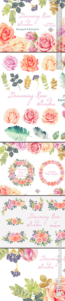 手绘水彩植物花朵