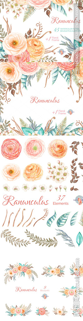 手绘水彩植物花朵