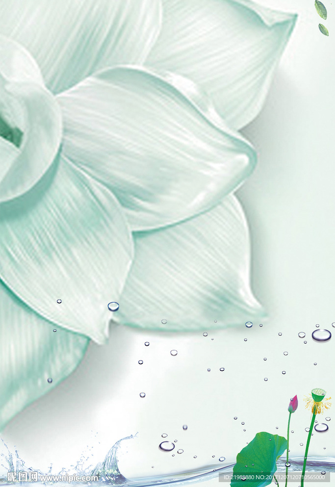 荷花水珠白花朵背景图