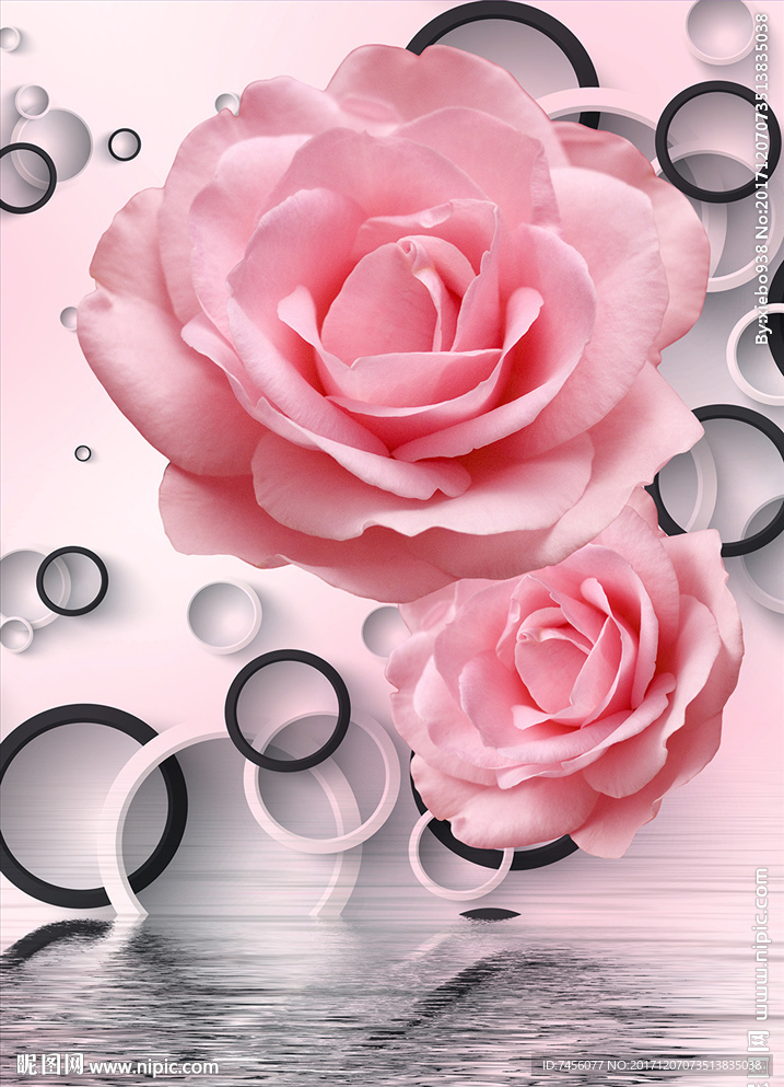 水中玫瑰花立体圈圈玄关过道