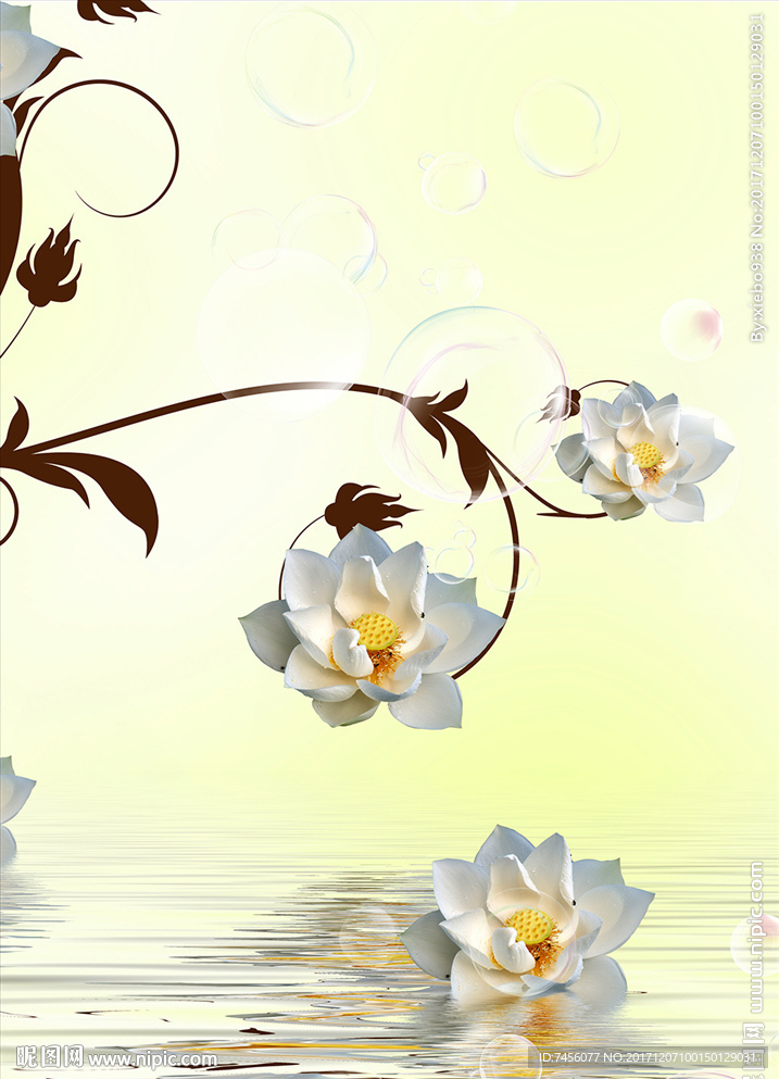 水中莲花高档玄关过道