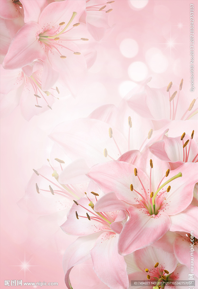 唯美淡雅花卉玄关过道