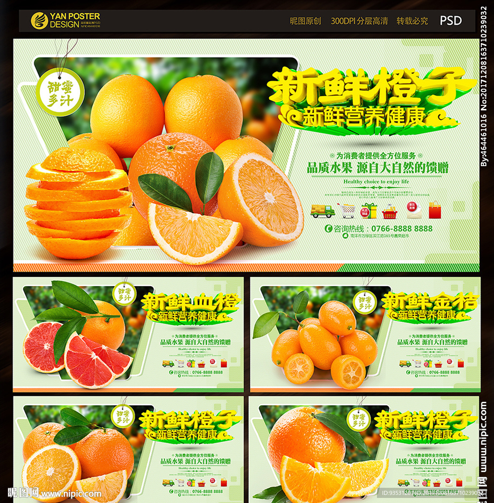 橙子 金桔 血橙