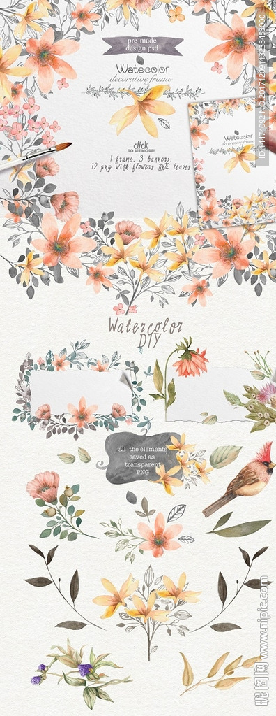 手绘水彩植物花朵