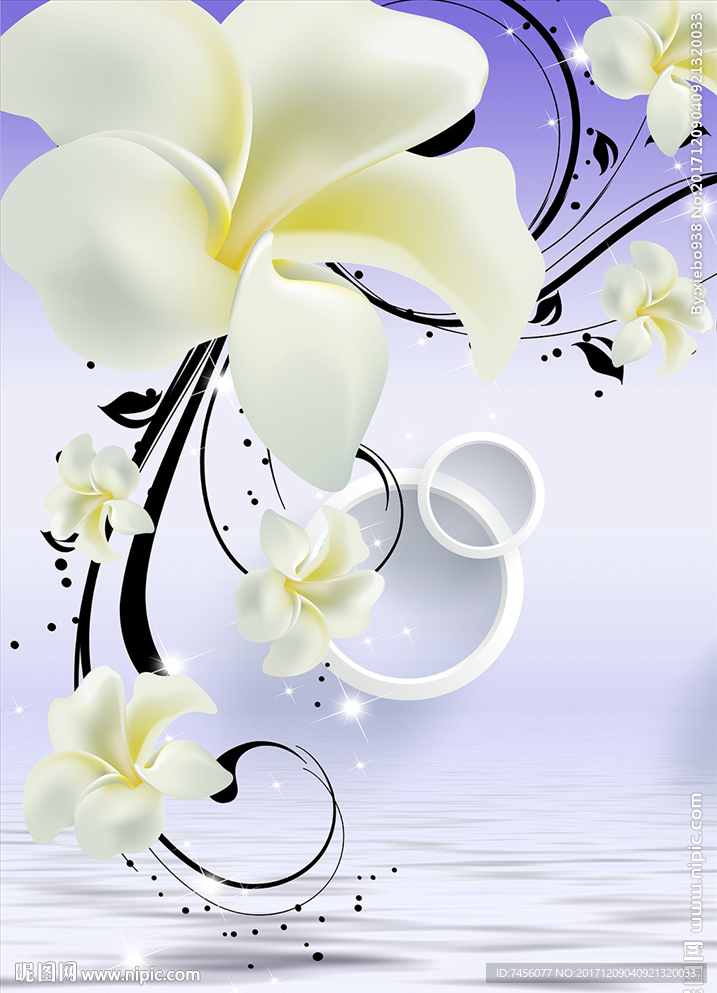 水中兰花立体圈圈玄关过道