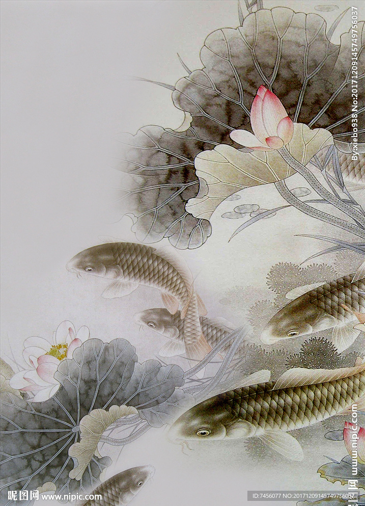 国画莲花游鱼玄关过道