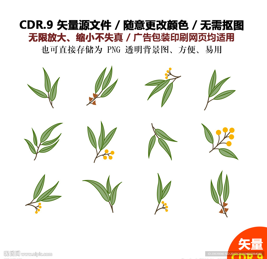 手绘叶子卡通树叶矢量图