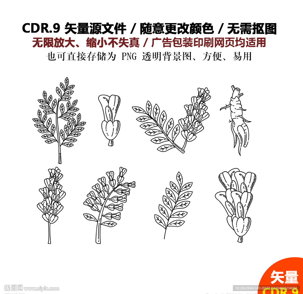 手绘植物草药矢量图