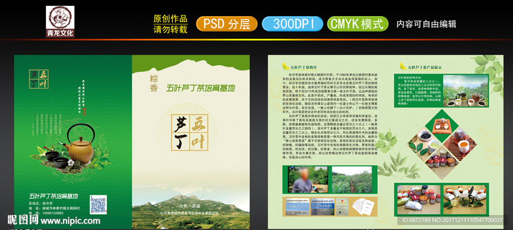 五叶芦丁茶折页
