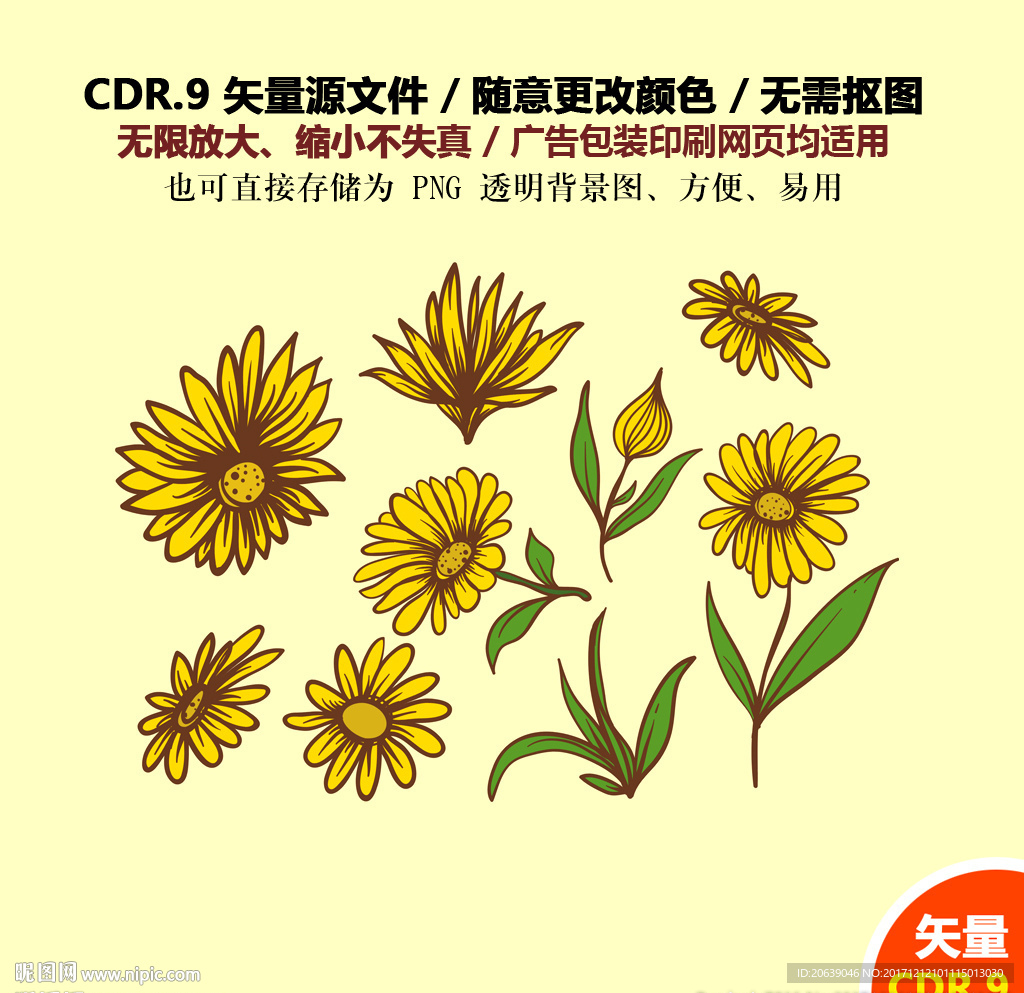 手绘鲜花图形菊花秋菊雏菊纹案