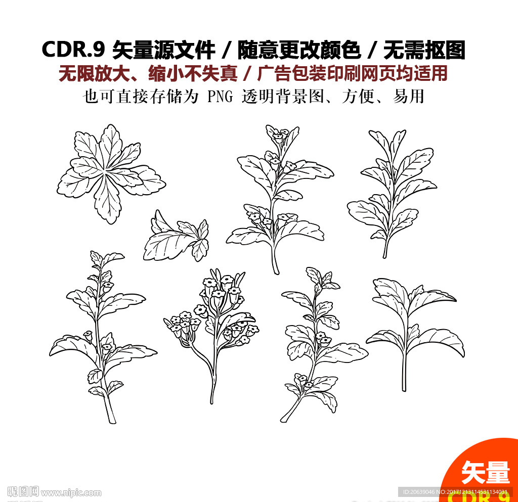 手绘树叶花朵花草矢量图