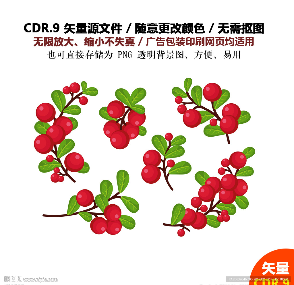手绘水果草莓樱桃山楂矢量图