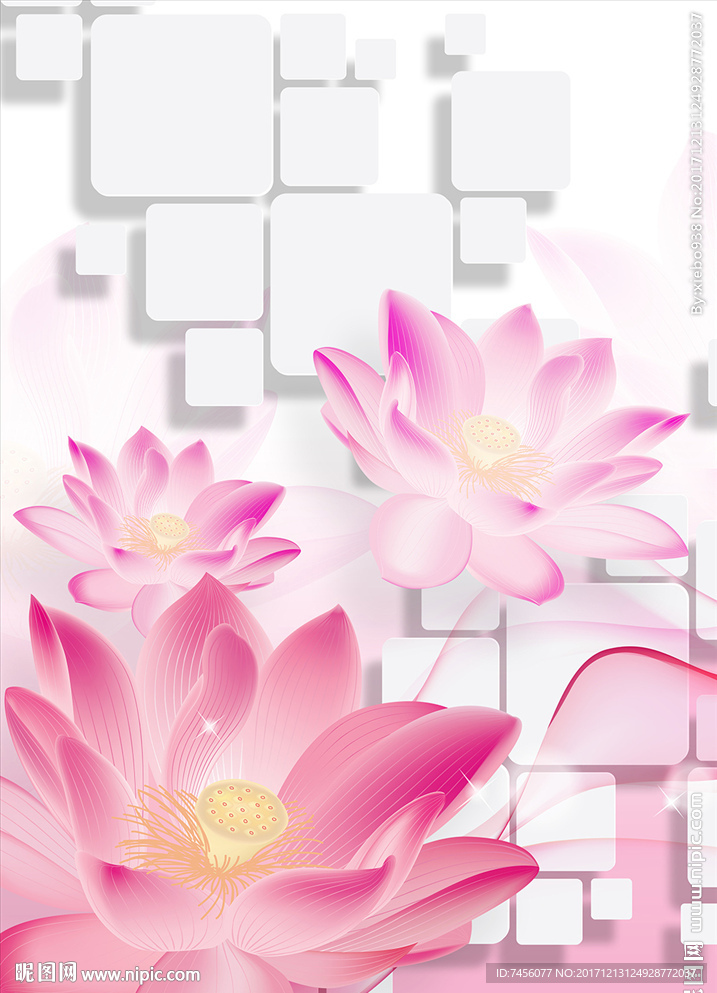 唯美莲花立体玄关过道