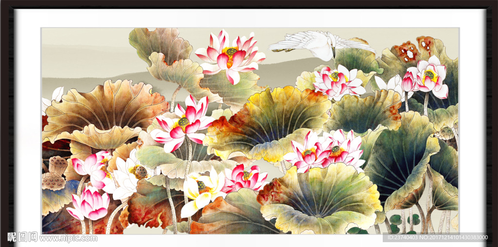 国画荷花