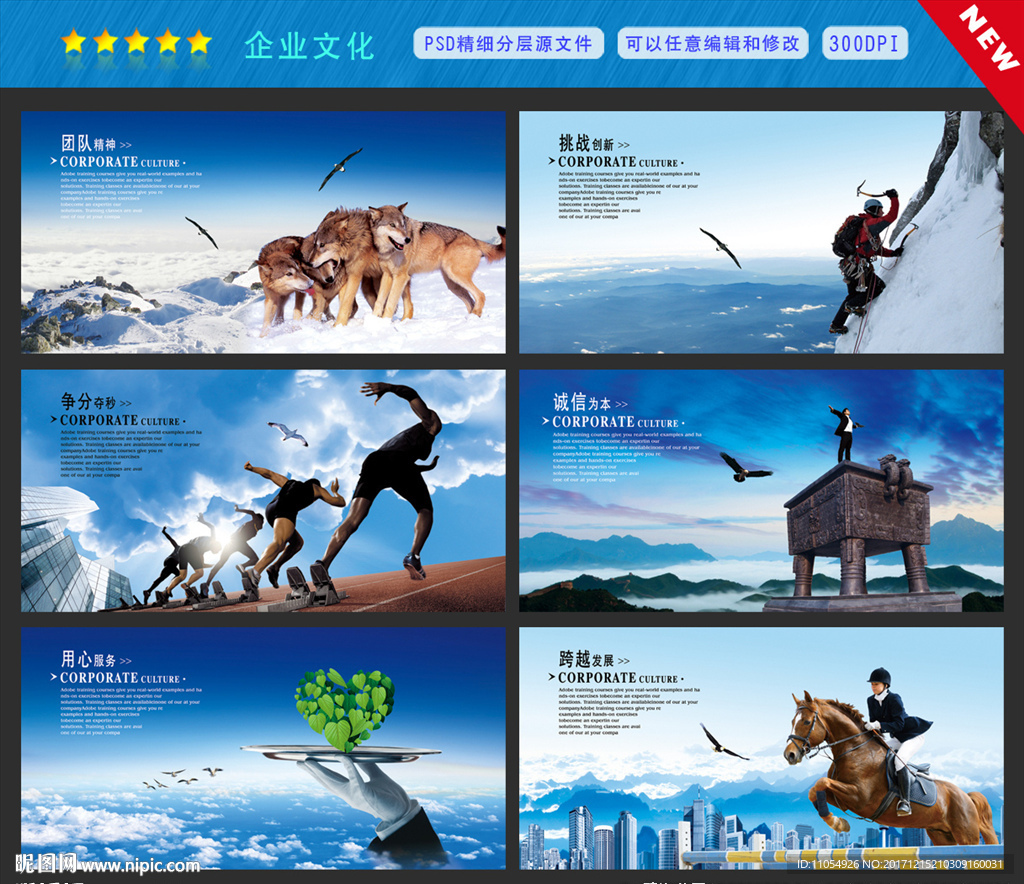企业文化