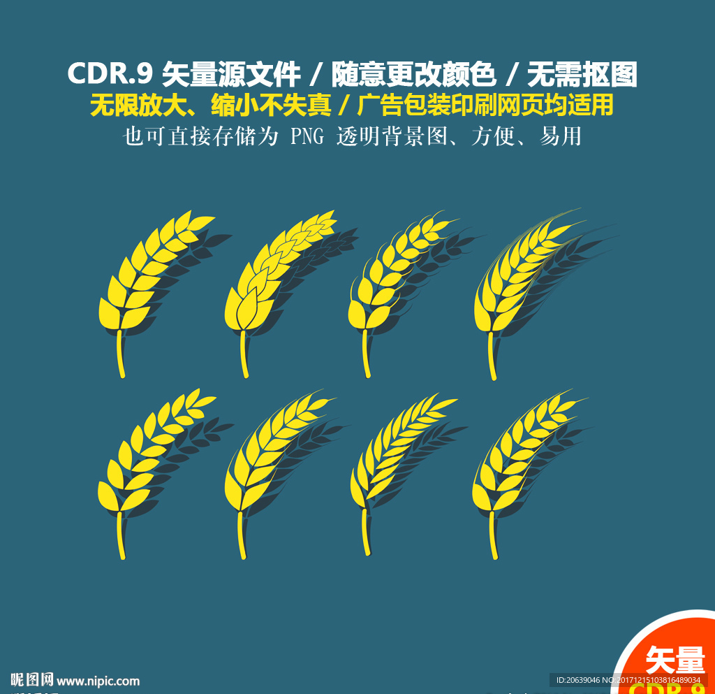 手绘麦子麦穗矢量图
