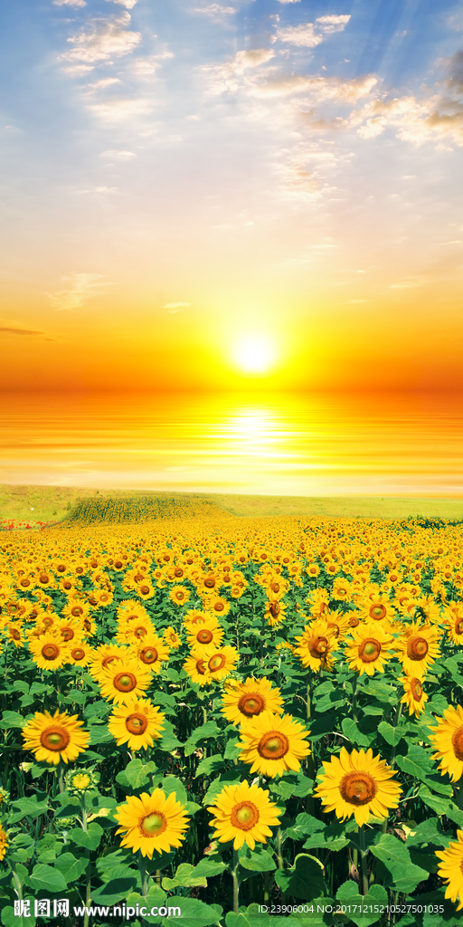 大海日出向日葵背景墙装饰画