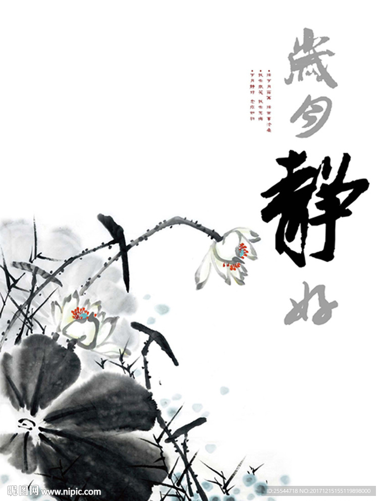 岁月静好荷花封面