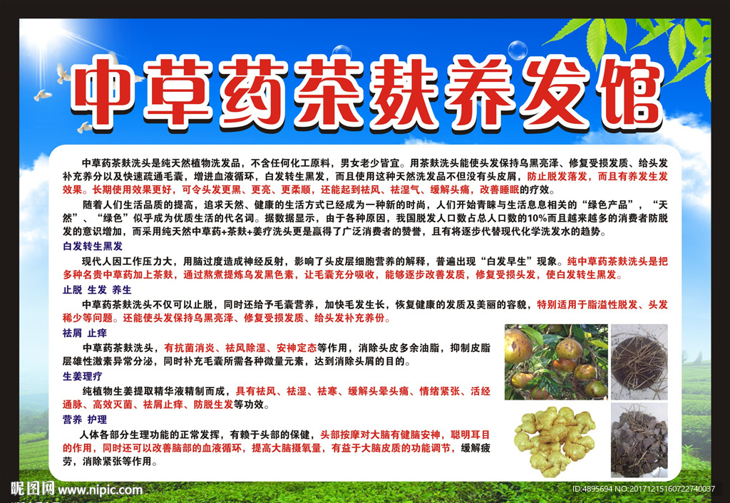 茶麸养发