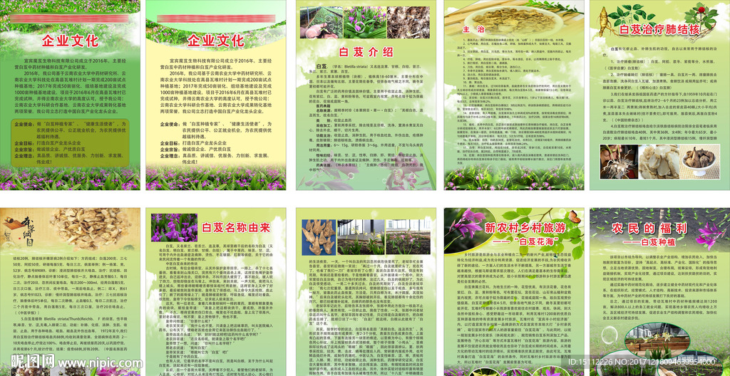 生物科技有限公司企业文化名贵中