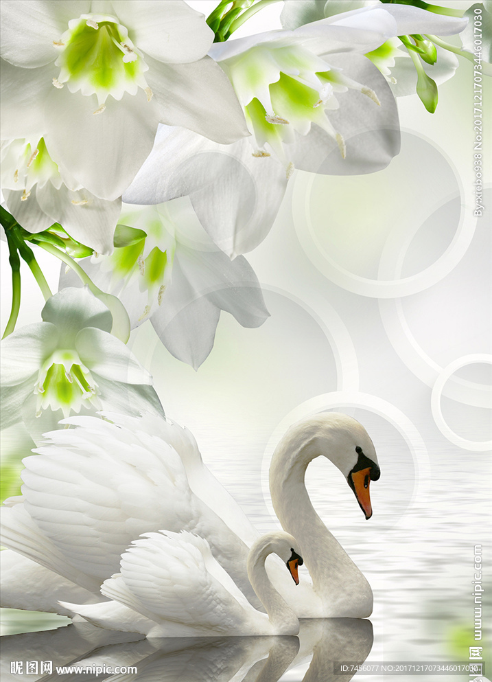 天鹅戏水高清玄关过道