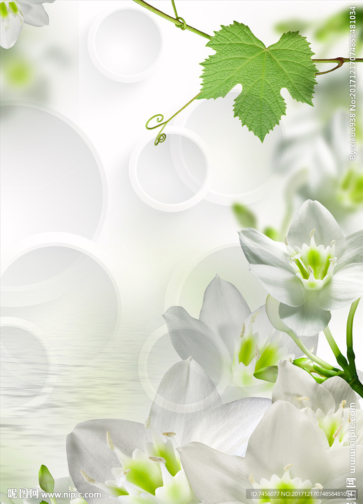 水中白花立体玄关过道