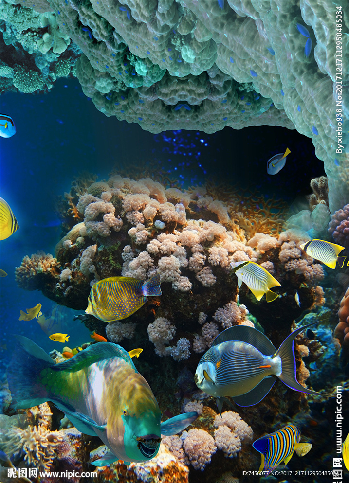 海景海底世界高清玄关过道