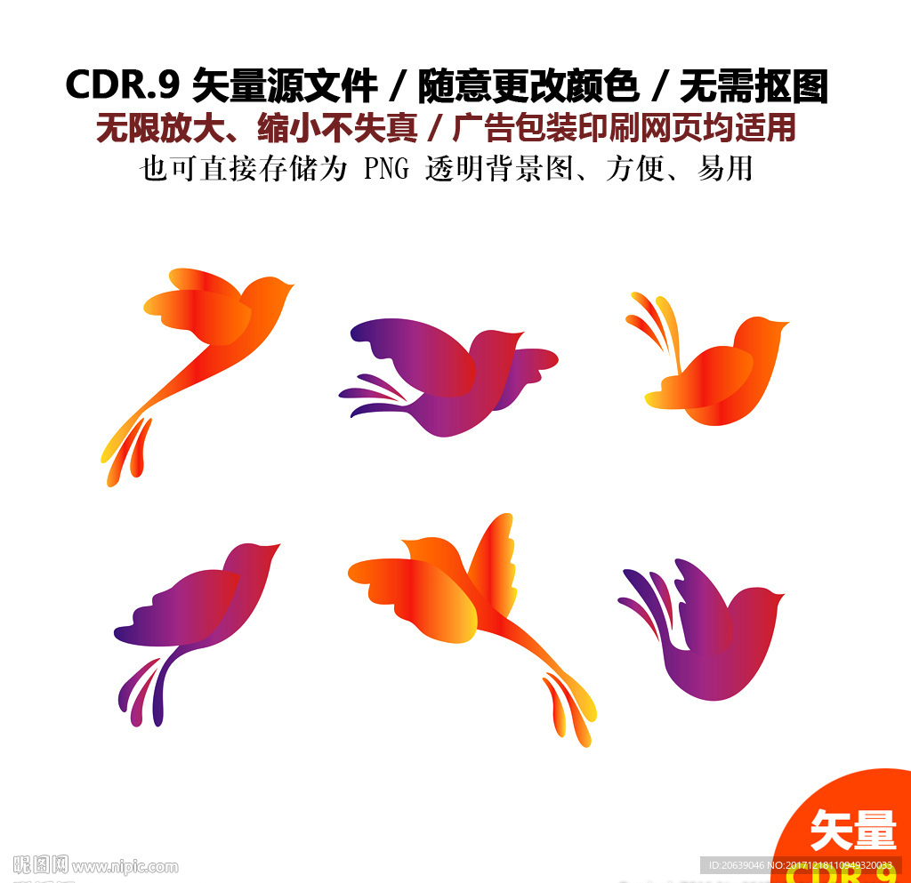 手绘彩色可爱小鸟矢量图