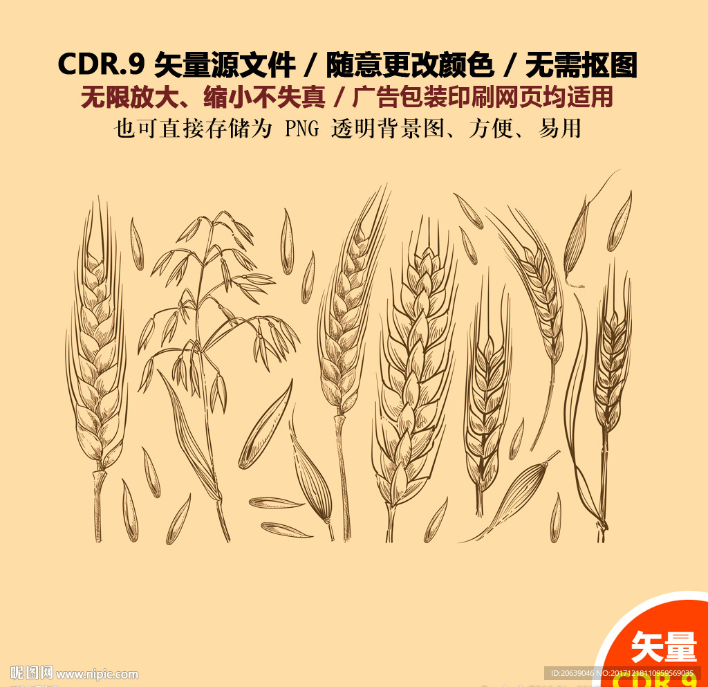 手绘麦子麦穗矢量图