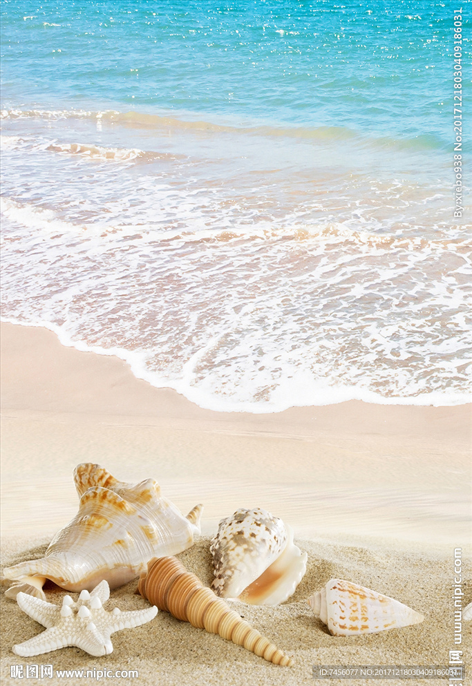 海景沙滩海螺海星玄关过道