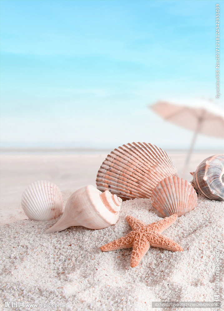 沙滩海星贝壳风景画玄关过道