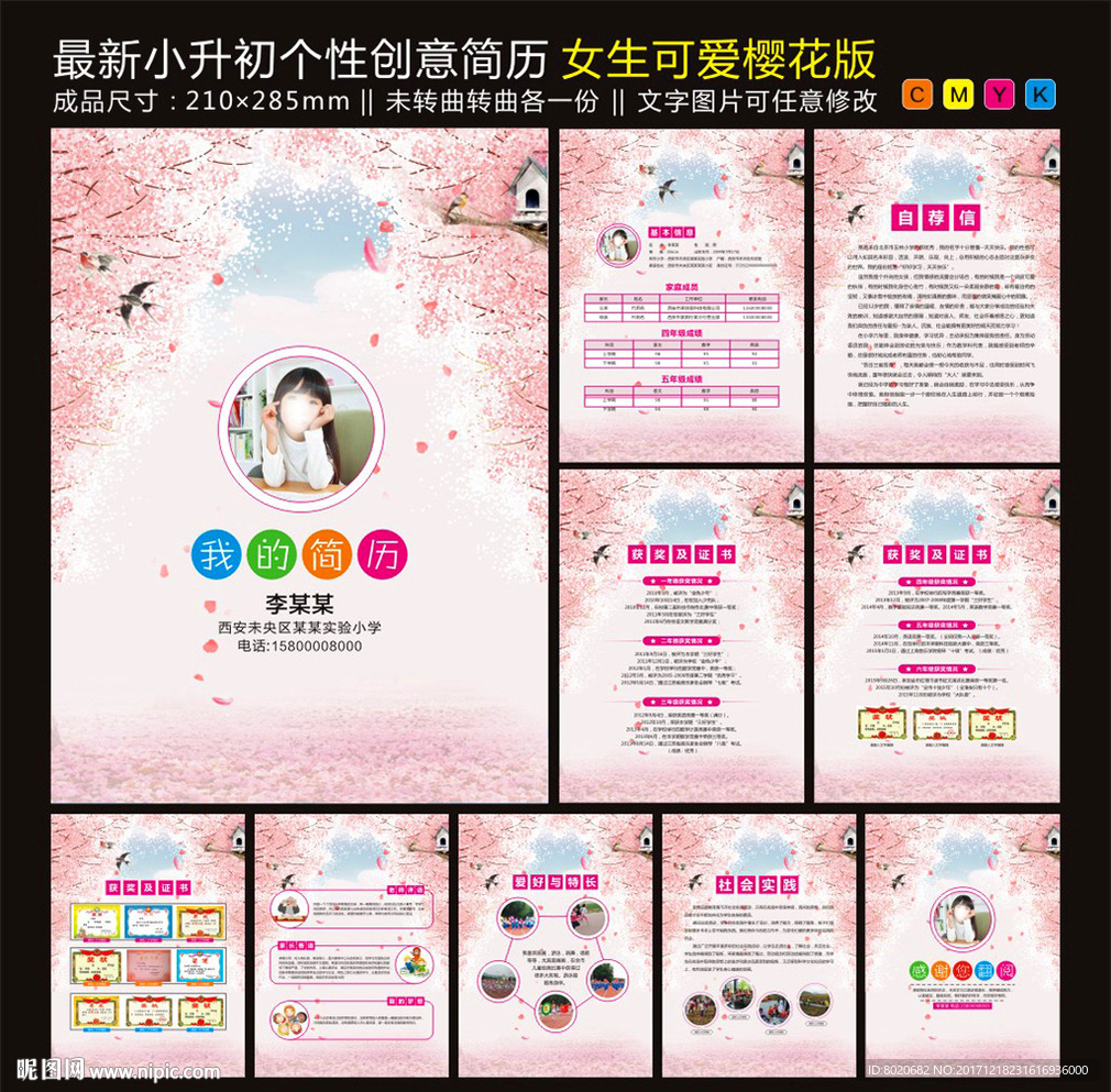 粉色樱花小升初简历