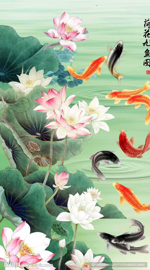 荷花九鱼图