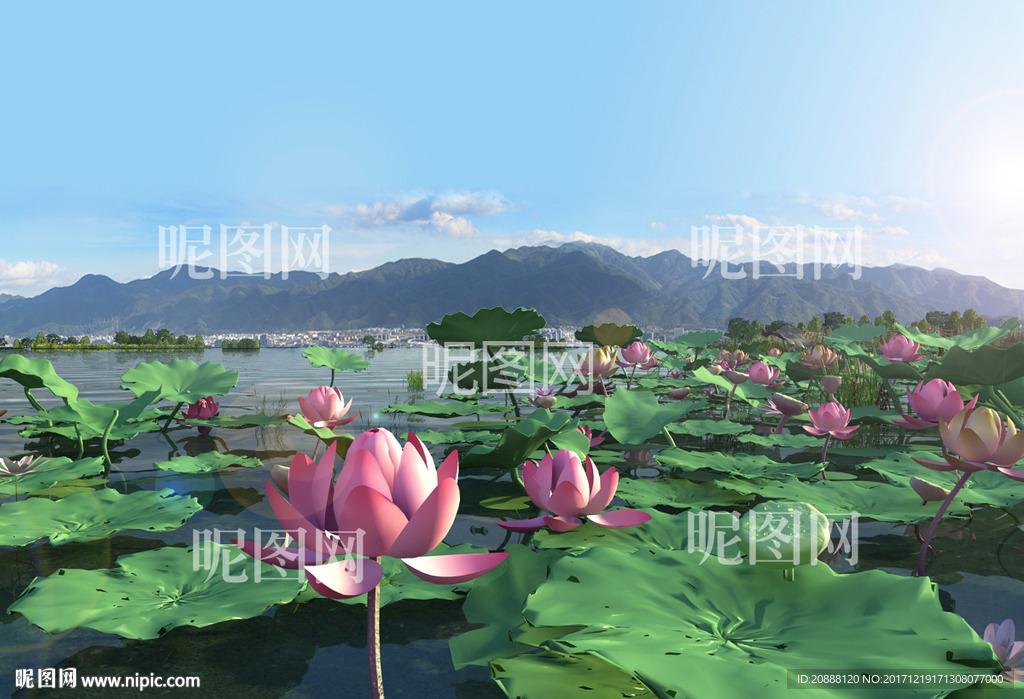 荷花动画模型场景