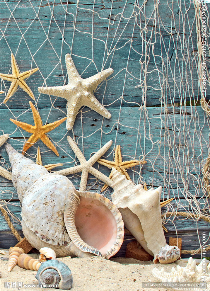 海星海螺木板高清玄关过道