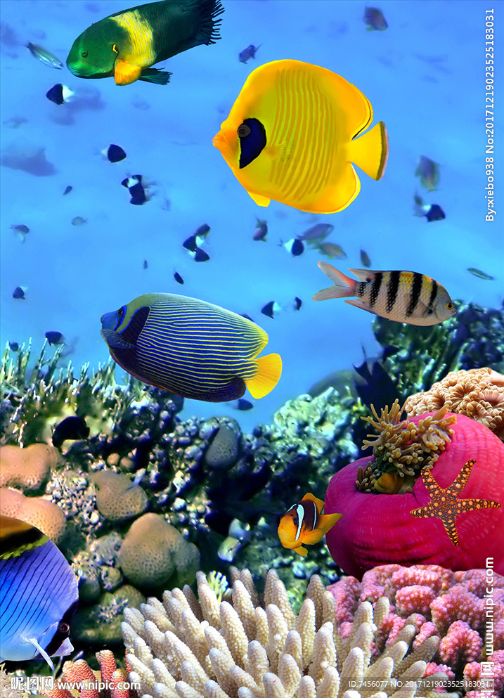 海底游鱼海藻玄关过道