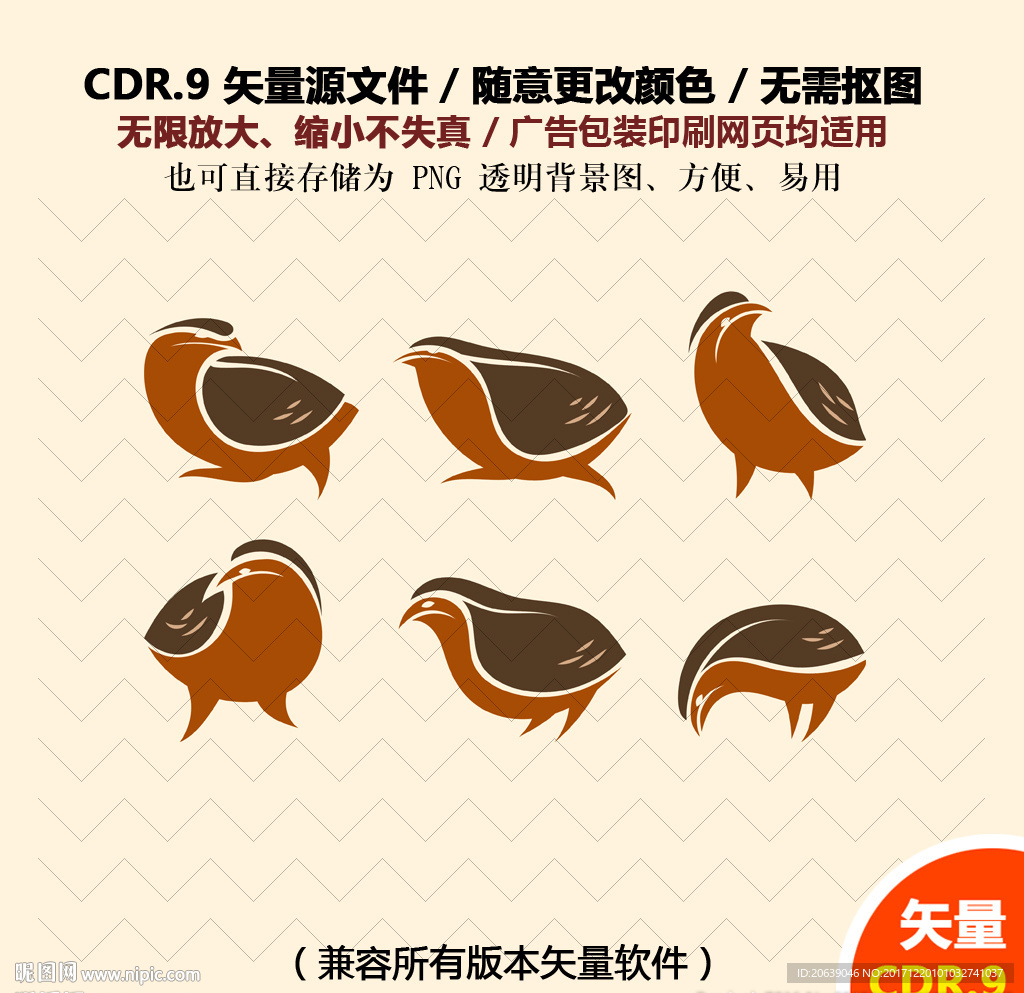 手绘小鸡鹌鹑矢量图