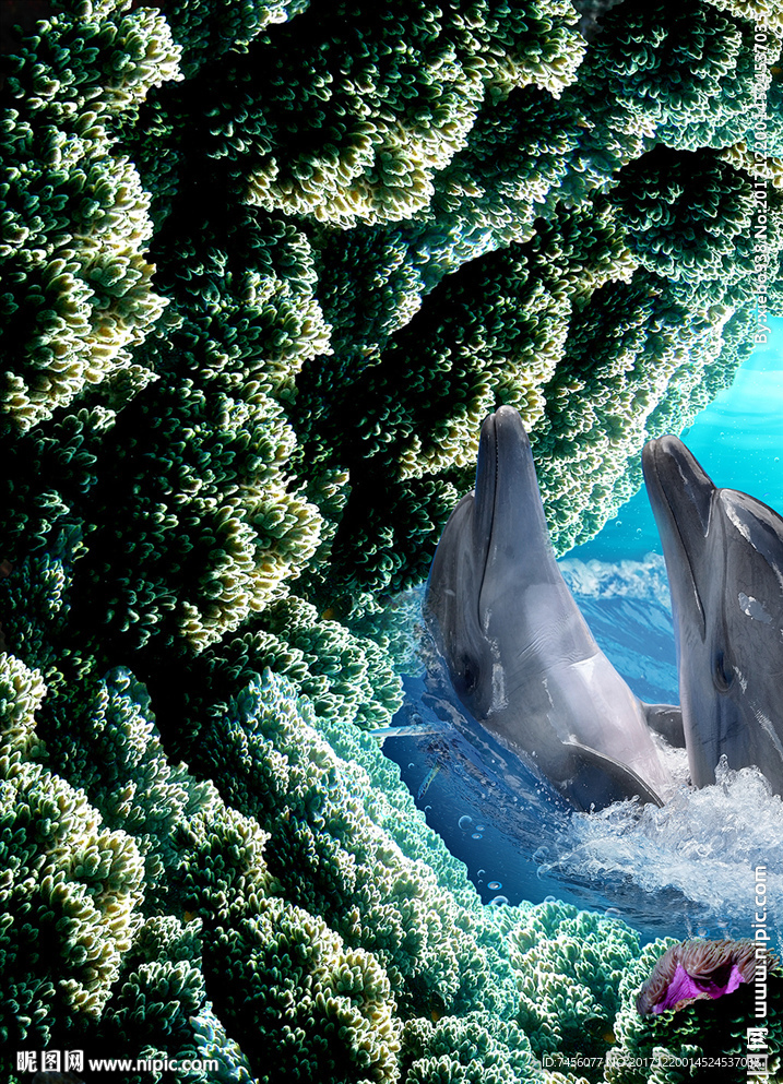 海豚之恋海底世界海景玄关过道