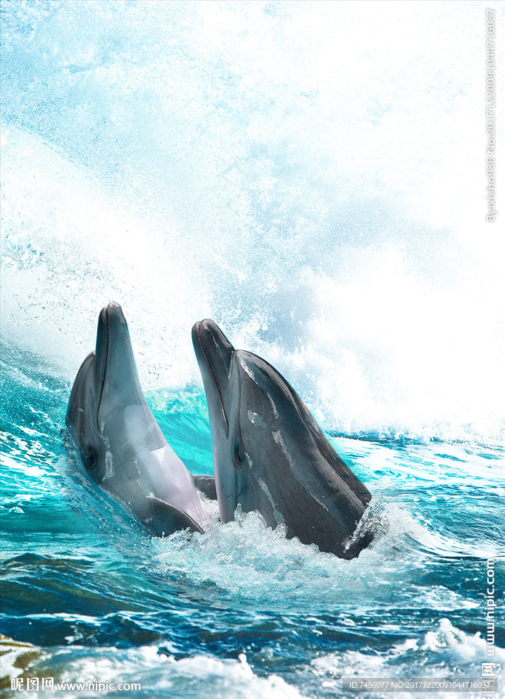 海豚之恋海景风景画玄关过道