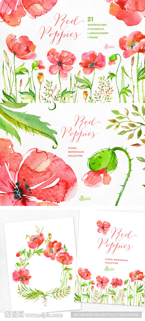 手绘水彩植物花朵