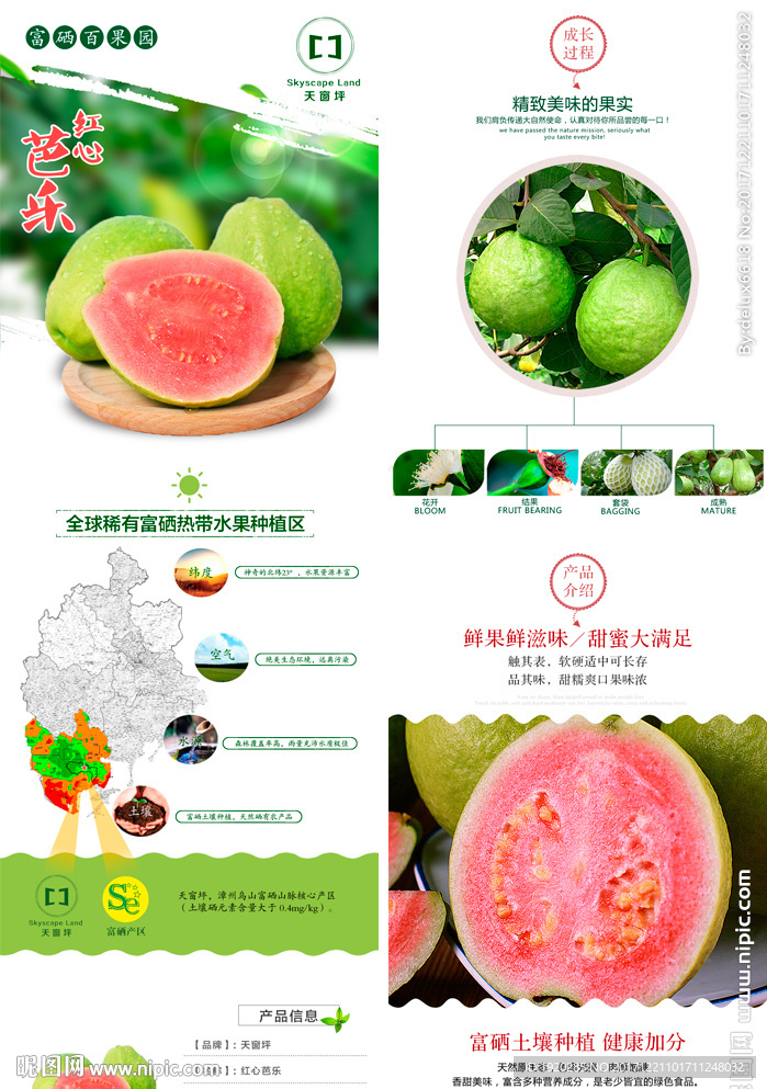 红心芭乐 番石榴详情页模板