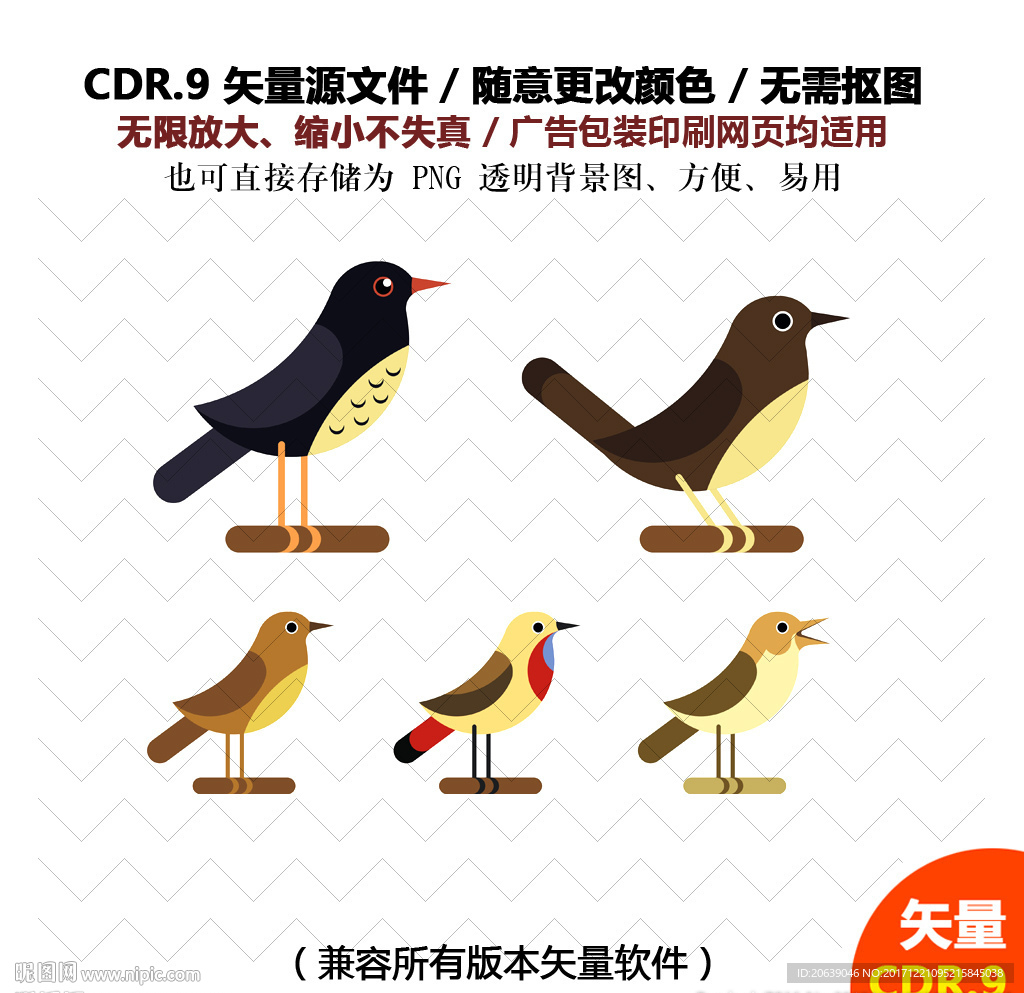 手绘彩色可爱小鸟矢量图