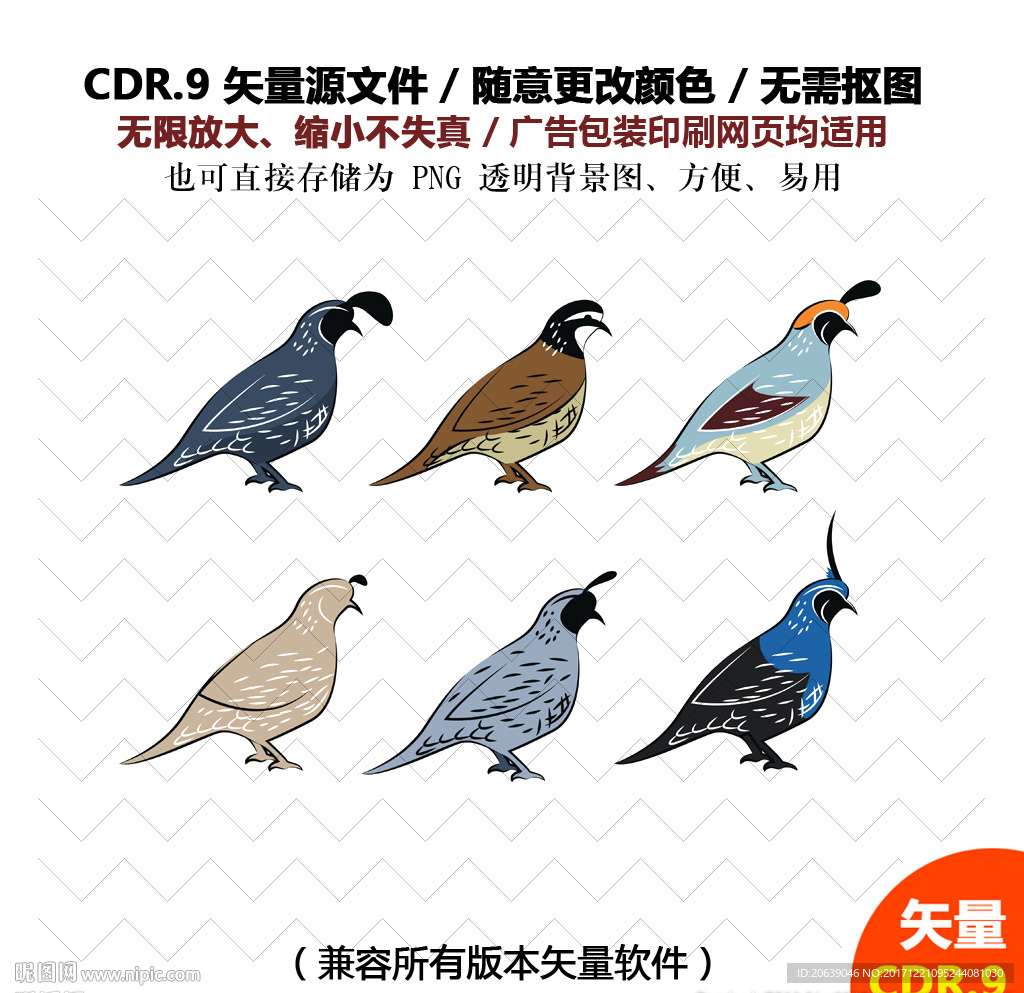 手绘小鸟素材矢量图