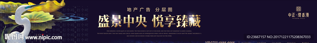 白鹭 鸟 天鹅 湖 湿地 湿地