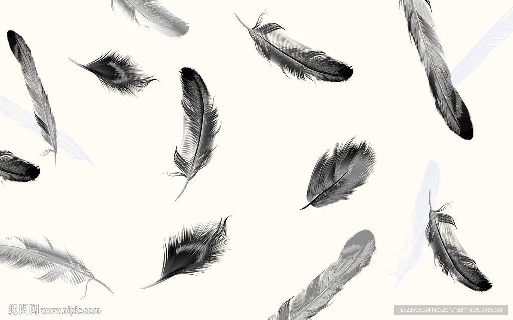 黑白羽毛背景墙装饰画