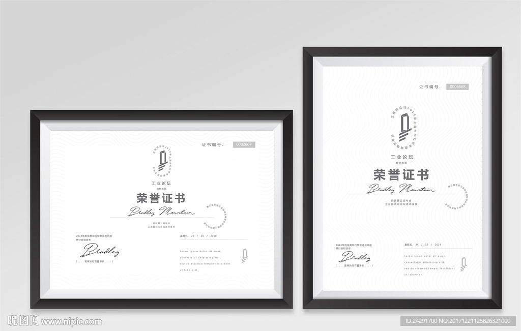 荣誉证书 企业授权书 授权证书